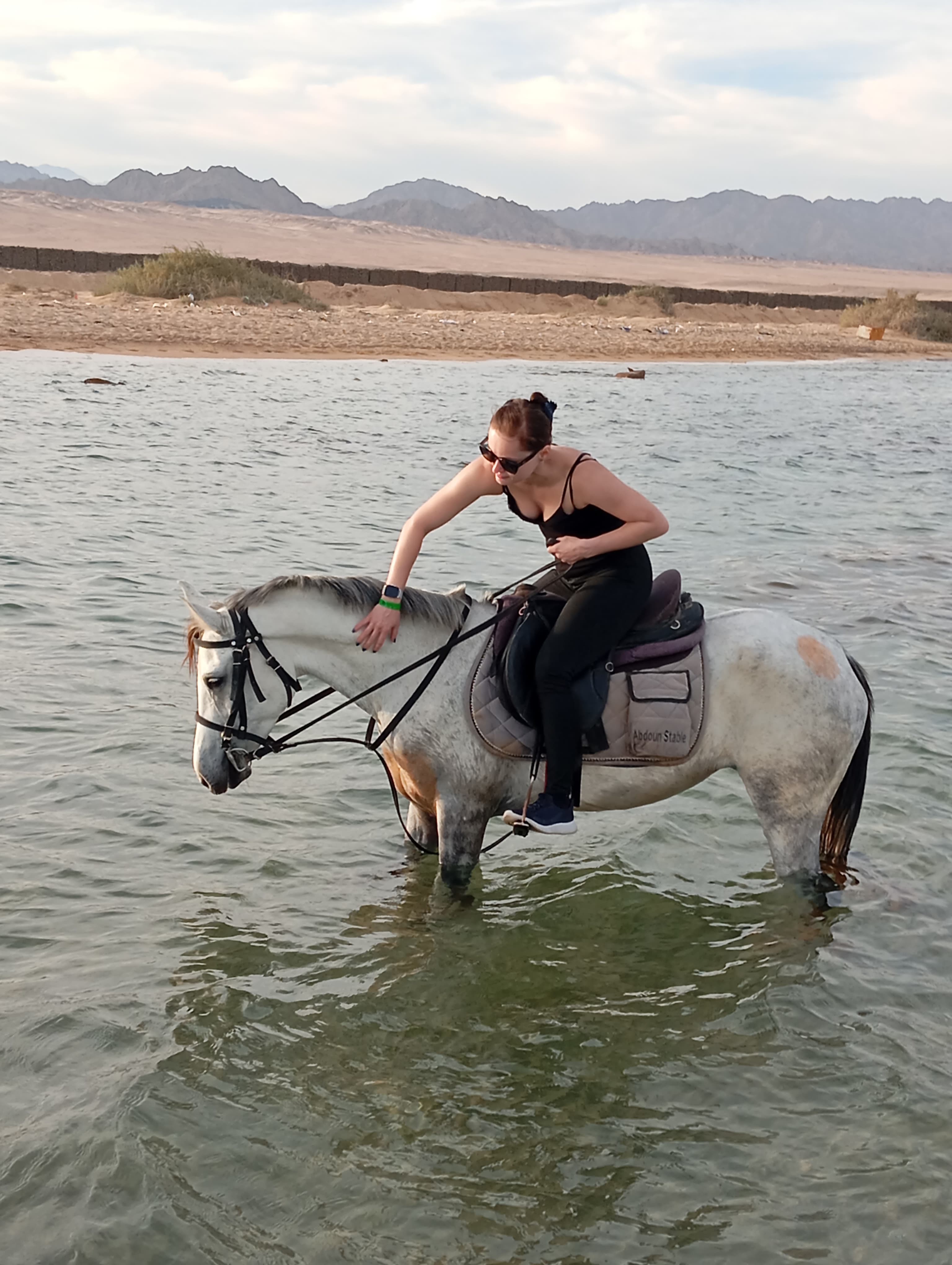 Horseback Riding Safari — Sinai