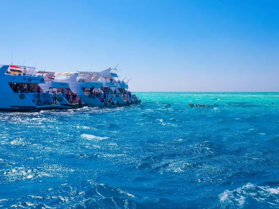 Ras Mohamed White Island