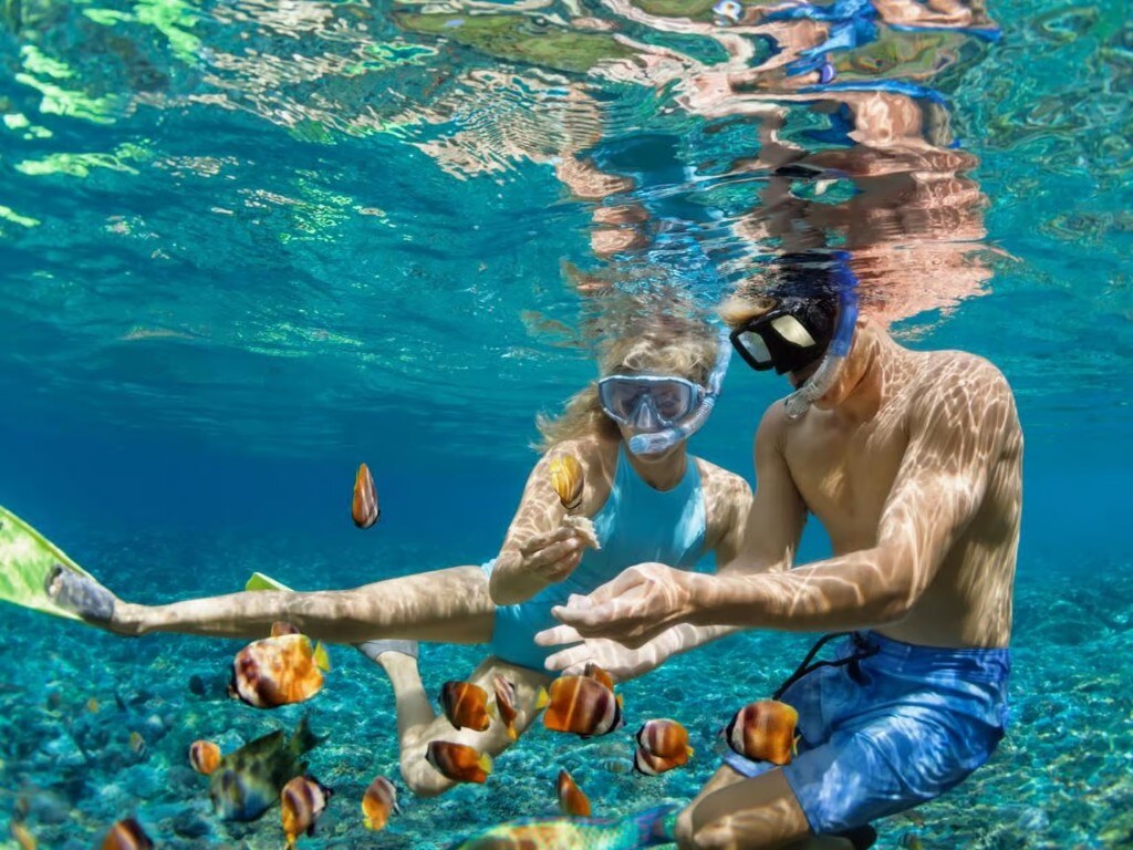 Couple snorkeling with butterflyfish