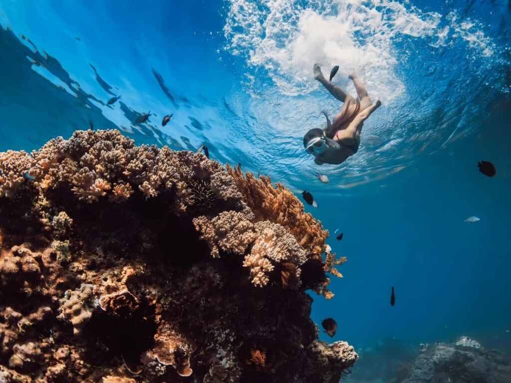 Snorkeler above coral reef