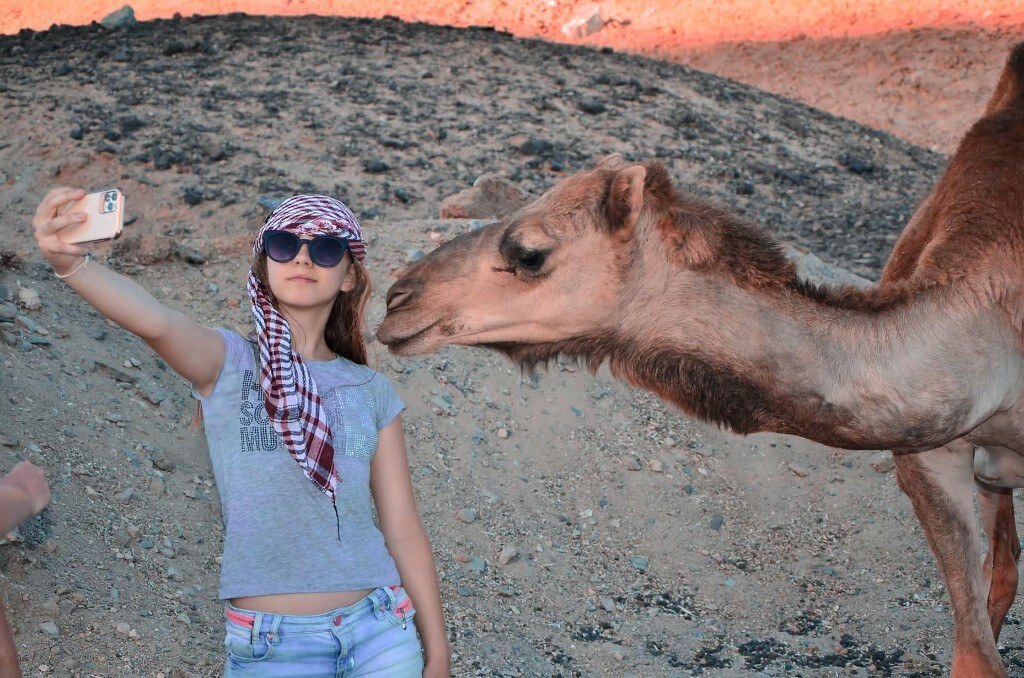 Salama Coloured Canyon, Snorkelling, Camel & Dahab