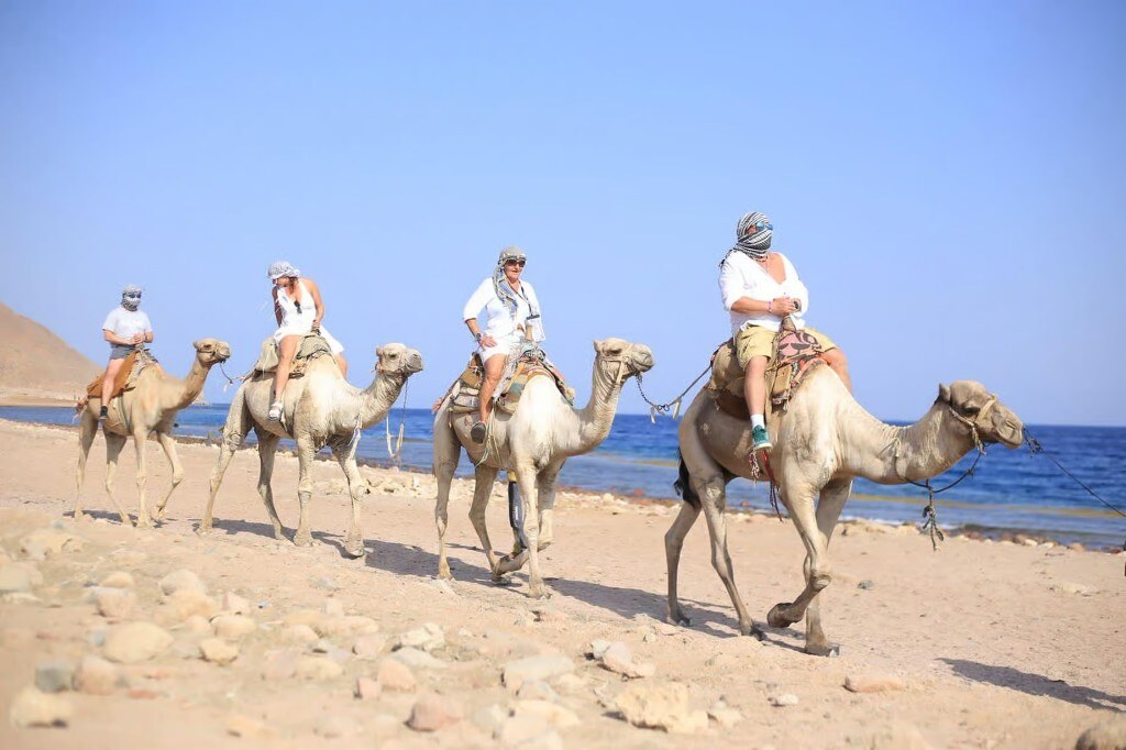 Salama Coloured Canyon, Snorkelling, Camel & Dahab