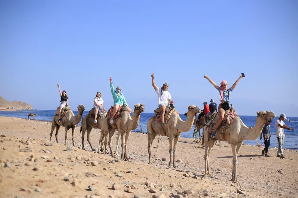Salama Coloured Canyon, Snorkelling, Camel & Dahab