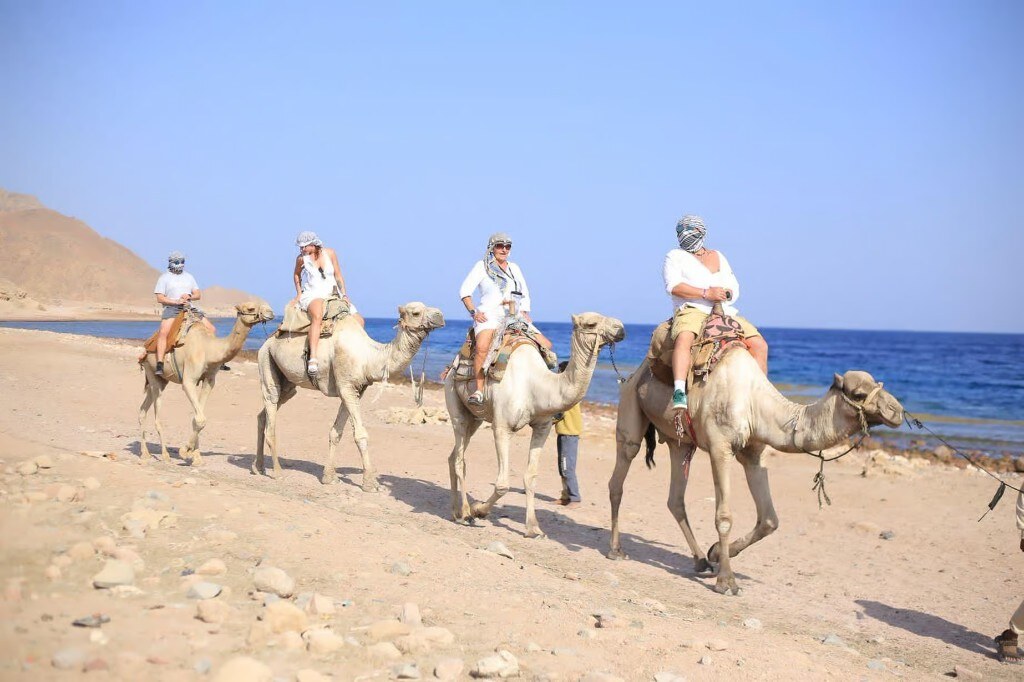 Salama Coloured Canyon, Snorkelling, Camel & Dahab