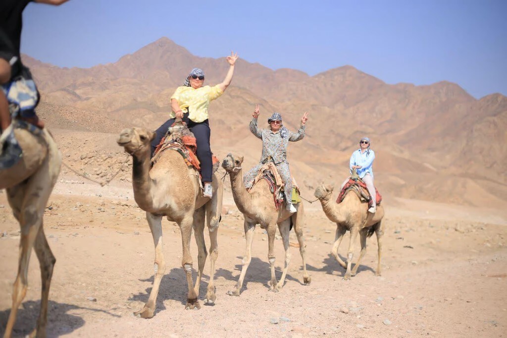 Salama Coloured Canyon, Snorkelling, Camel & Dahab