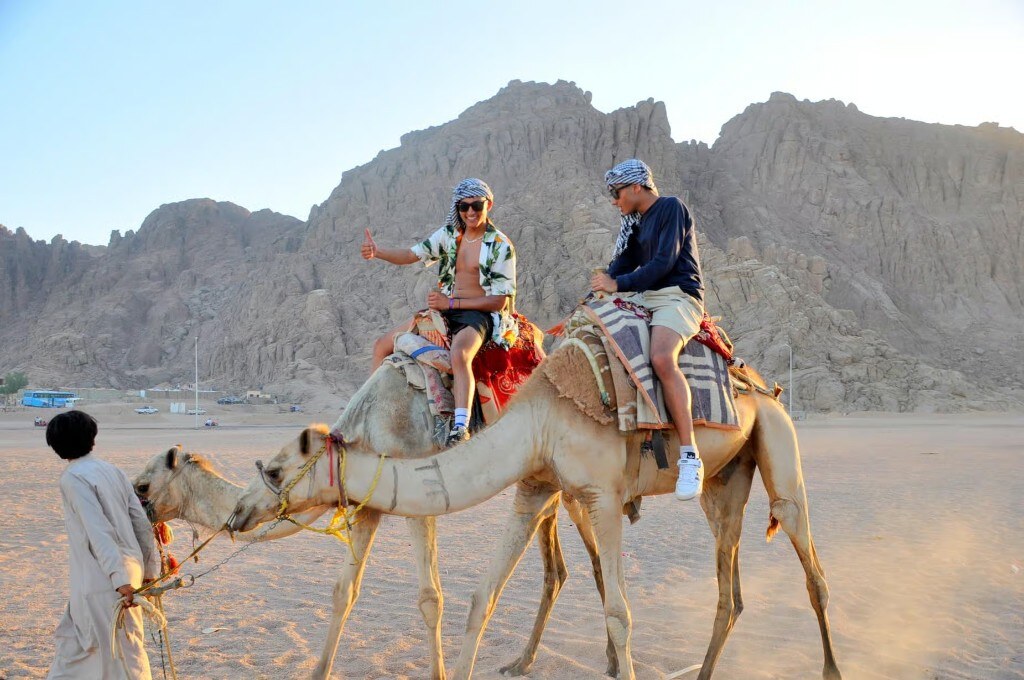 5-in-1 Desert Safari — Quad, Camel, Dinner & Stargazing