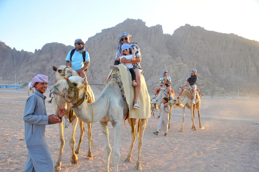 5-in-1 Desert Safari — Quad, Camel, Dinner & Stargazing