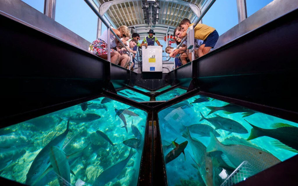 Coral Reef Glass-Bottom Boat Tour — Sharm El-Sheikh
