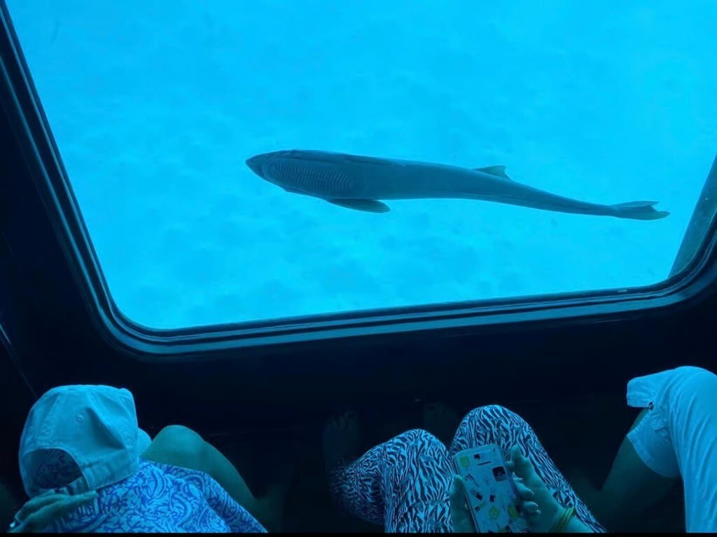 Seascope Submarine Glass-Bottom Cruise with Pickup