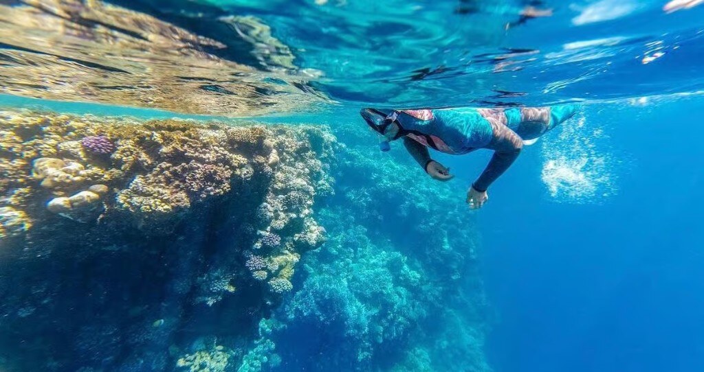 Snorkeler at coral wall