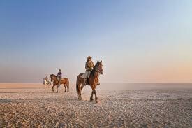 Horseback Riding Safari — Sinai